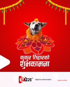 a dog is sitting in front of a banner with the words happy diwali on it