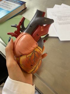 a human heart model being held by someone's hand