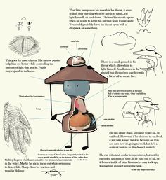 an illustrated diagram showing the parts of a bird