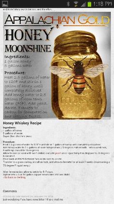 a website page with an image of a bee in a jar on top of it