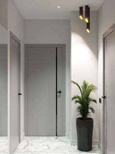 a potted plant sitting in the middle of a room with two doors on both sides