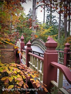 a wooden bridge surrounded by trees and leaves