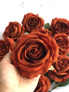 a hand holding a bunch of red roses