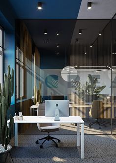 an office with cactus in the corner and glass partitions on the wall to allow privacy