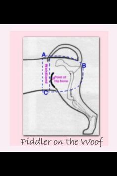 the diagram shows how to install an in - ear headphones