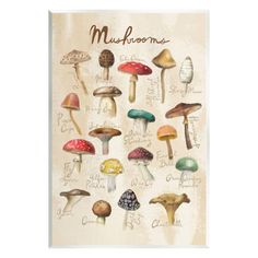 an image of various mushrooms on a white background with the words,'mushroom identification chart '