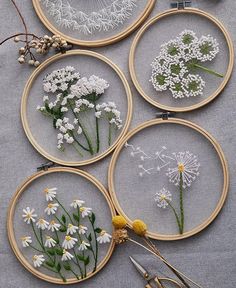 four embroidery hoops with white flowers on them and some scissors next to each other