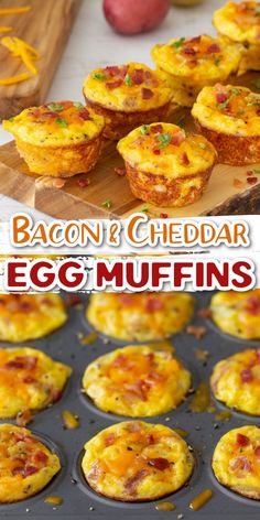 bacon and cheddar egg muffins in a muffin tin