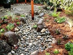 a garden with rocks and plants around it