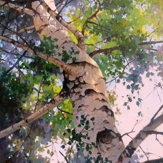 a painting of a birch tree with green leaves