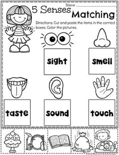 the five senses matching worksheet for children to practice their sight and phonicic skills