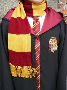 a person wearing a harry potter costume and scarf