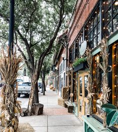 a city street lined with tall trees covered in fall foliage and lights hanging from the windows