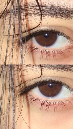 two brown eyes with long hair on top of each eye and the bottom one is blue