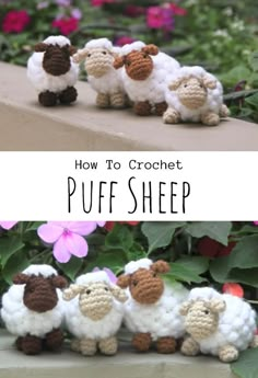 crocheted sheep are lined up in front of flowers and the words, how to crochet puff sheep