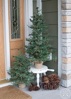 a small christmas tree sitting on the front porch next to a potted pine cone