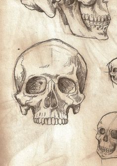 a drawing of a human skull with one eye open and the other half drawn in pencil