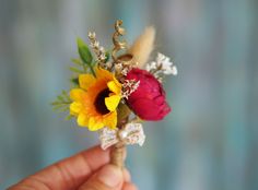 a hand holding a small flower with yellow and red flowers