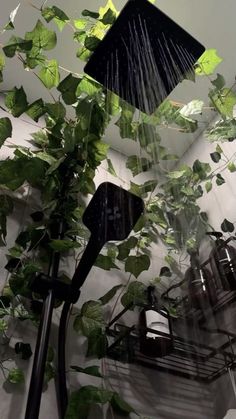 a shower head with plants hanging from it's side