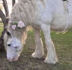 a white horse with flowers on its head grazing in the grass next to a tree