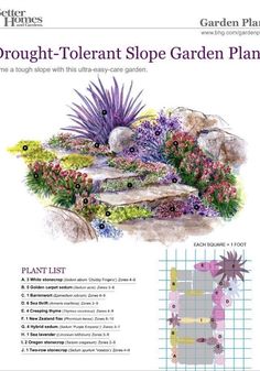 a garden plan with flowers and plants in it