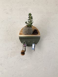 a green shelf with two key hooks and a small pine tree on it's top