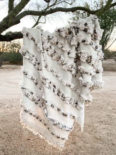 a blanket hanging from a tree in the desert with snow on it's branches