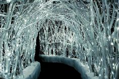 an image of a tunnel with lights in the middle and snow on the ground around it