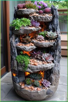 an outdoor garden with rocks and succulents