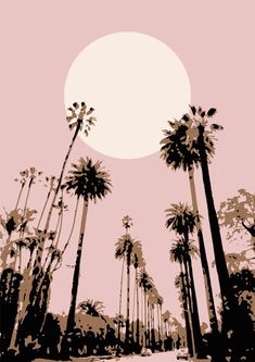 palm trees are silhouetted against a pink sky