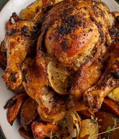 roasted chicken and potatoes on a white plate