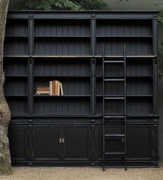 a black bookcase next to a tree