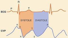 ECG and JVP tracing Ultrasound Technician, Veterinary School