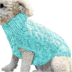 a small dog wearing a blue sweater on top of it's back legs,