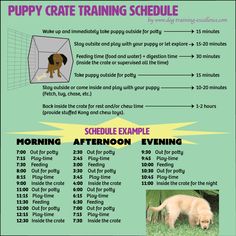 the puppy crate training schedule is shown