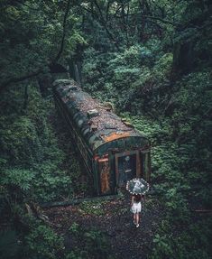 a person with an umbrella standing next to a train in the middle of some trees