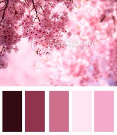 the color scheme is pink and purple, with lots of red flowers on it's branches