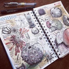 an open notebook with drawings on it