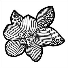 a flower that is black and white