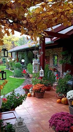 an outdoor patio with lots of flowers and potted plants