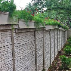 a stone wall with plants growing on top and bushes growing along the side of it