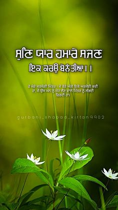 an image of white flowers in front of green background with the words, i love you