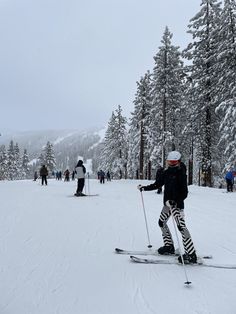 a person on skis in the snow near some pine trees and other skiers