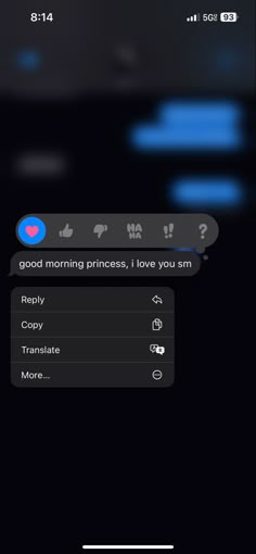 an iphone screen with the message good morning princess, i love you am