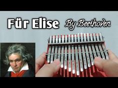 a person holding an accordion in their hand with the words, fur elise by bethwen