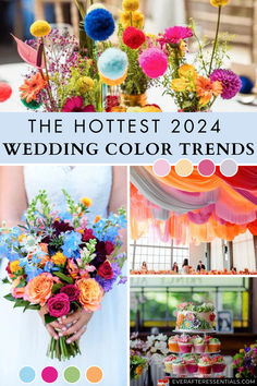 Wedding Color Ideas May Wedding Themes Color Schemes, Royal Blue And Magenta Wedding Color Palettes, Wedding Colour Schemes Colourful, Bright Color Wedding Theme Decor, Tropical Color Wedding Palette, Wedding Swatches Colour Palettes, Vibrant Spring Wedding Colors, Wedding Color Schemes Unique, Wedding Beach Color Schemes