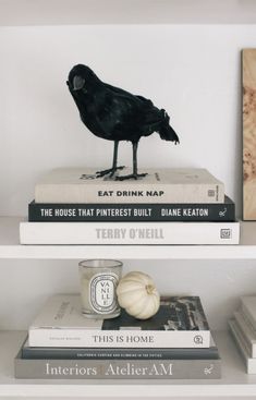 some books are stacked on top of each other with a black bird figurine