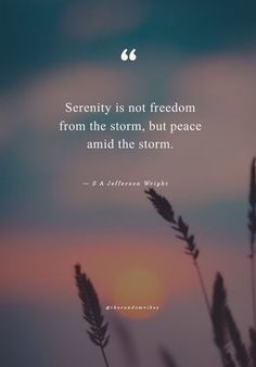 the quote serenity is not freedom from the storm, but peace and the storm