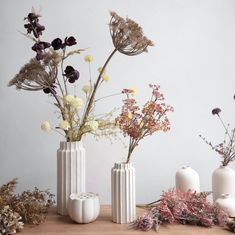 three white vases with dried flowers in them