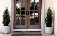 two potted plants sitting on the side of a building with double doors and windows